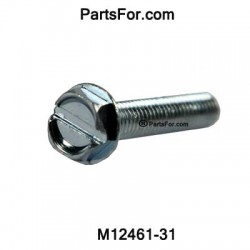M12461-31
