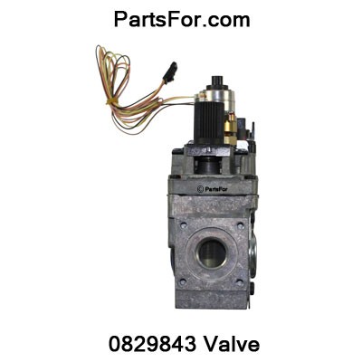 Itページ 0829843 SIT Parts NG Valve w/ Stepper Motor 111440-03