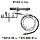 104286-01 LP ODS Pilot (PP224) LPG 8420