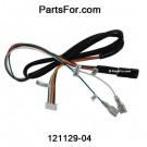 121129 04 Desa wiring harness ProFlame @ PartsFor.com