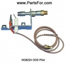 NG8224 ODS Pilot Natural Gas @ PartsFor.com