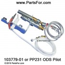 PP231 ODS Natural gas pilot for certain ventfree Desa heating products @ PartsFor.com